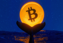 How Whales Affect Crypto Markets