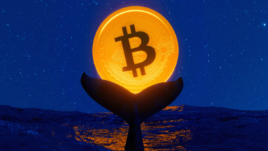 How Whales Affect Crypto Markets