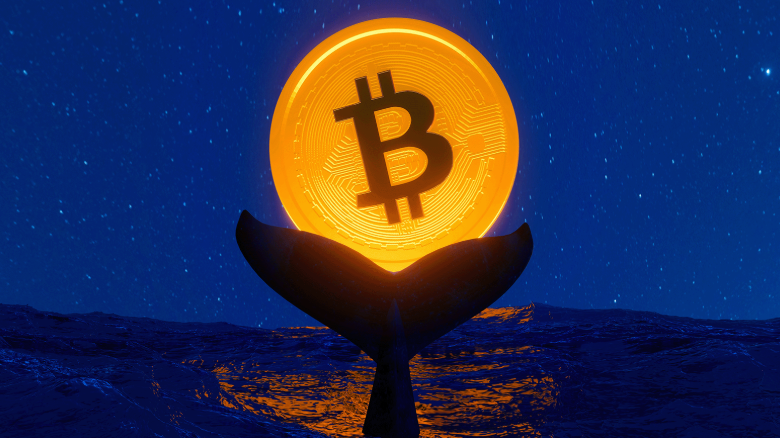 How Whales Affect Crypto Markets