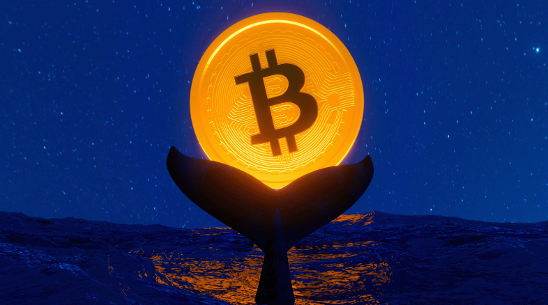 How Whales Affect Crypto Markets